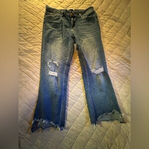 Flying Monkey Straight Cropped Factory Distressed Jean